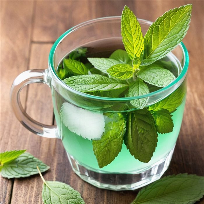 Thé à la menthe : Guide complet et astuces pratiques