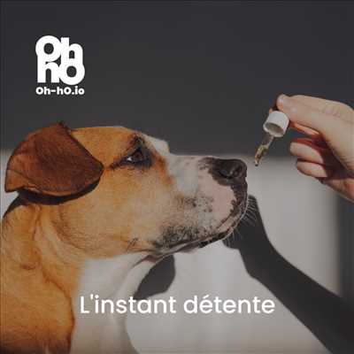 illustration partagée par Oh-hO pour l’activité bien-etre