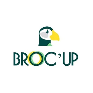 Broc'Up, un site e-commerce sur l'habitat