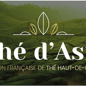 Thé d'Asie, un site e-commerce sur l'alimentation