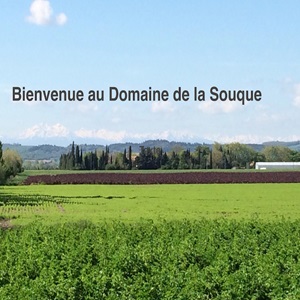 La Souque Boutique Légumes secs, un site e-commerce sur l'alimentation