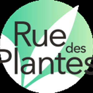 Rue des Plantes, un site e-commerce sur le bien-être
