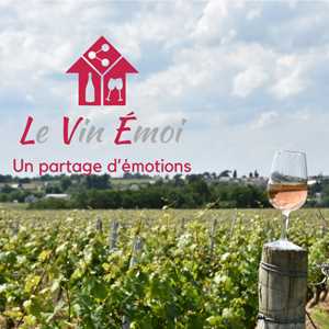 Le Vin Émoi, un site e-commerce sur l'alimentation